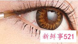 内眼线是画在眼睑上吗