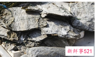 海带对肝脏功效与作用