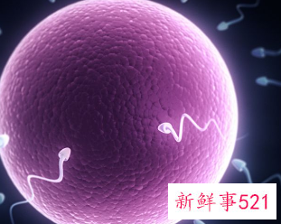 怎样知道是否有精子进入