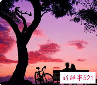 最浪漫的表白方式句子