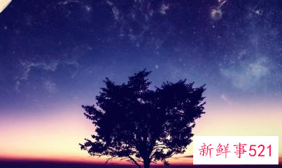 最有辩论口才的星座