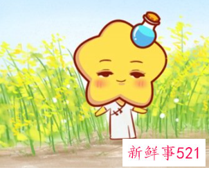 水瓶座2022年运势详解全年逐月运程完整版