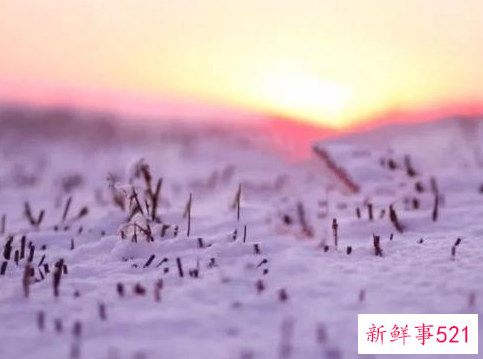 小雪节气的含义是什么