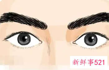 眉毛好的人代表什么