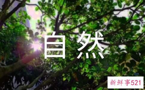 引起自然流产的原因