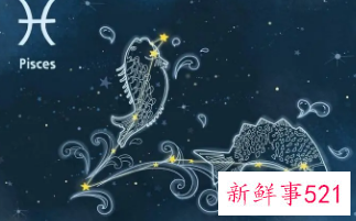 双鱼座的幸运星座是什么星座