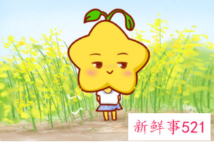 宠老婆的星座男是什么