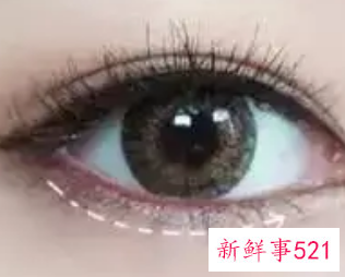 内眼线是画在眼睑上吗