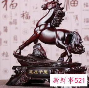 家里放什么招财运好