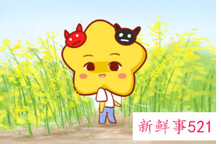 宠老婆的星座男是什么