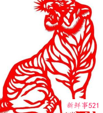 生肖虎的人命好不好