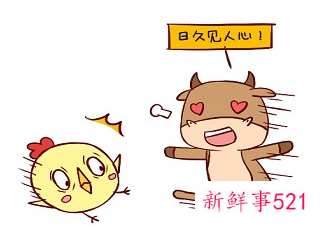 属牛女与十二生肖婚配