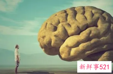 会说话的人都是脑子好使的人吗