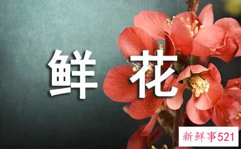 鲜花卡片简短情话