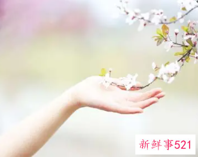 长期使用护手霜有什么作用