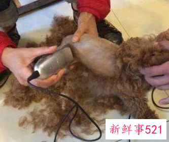 小孩要剃胎毛吗