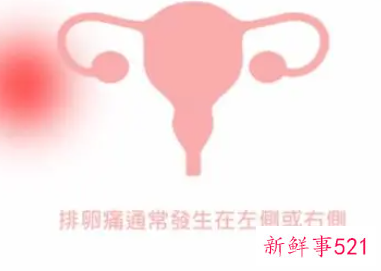 排卵期小腹一跳一跳的痛