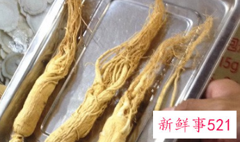 几月份吃人参是最好的