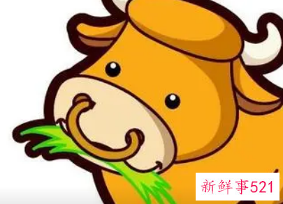 属牛的吉位方向