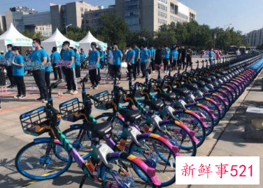 世界无车日是几月几号