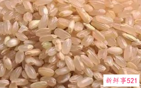 吃哪种主食不容易发胖