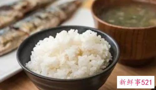 吃哪种主食不容易发胖