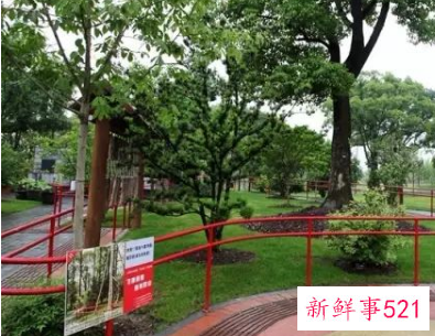 国际盲人节是几月几日