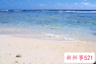 梦见很美的海边