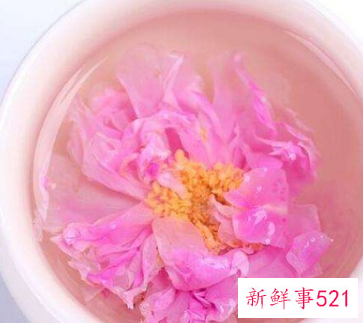 胎玫瑰茶和玫瑰花茶哪个好