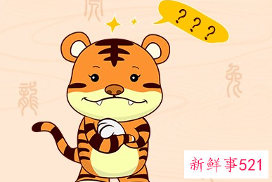 生肖属虎的人性格特点