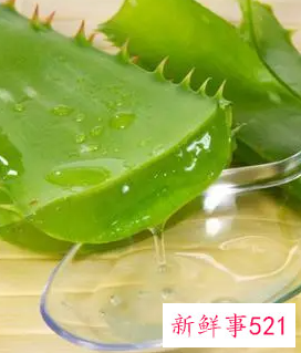 芦荟胶正确祛斑方法