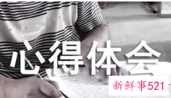 会后的感想感悟