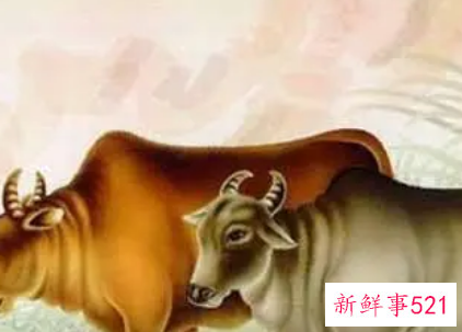 属牛的吉位方向