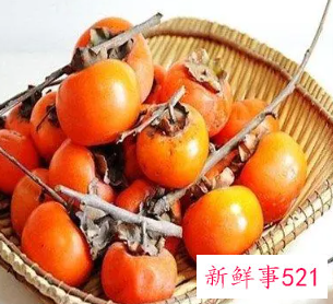 柿子千万不能2种食物一起吃