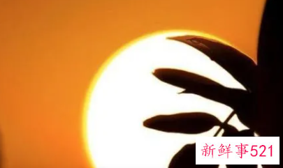 梦见死去的外婆在哭是什么意思