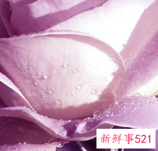 女性内衣颜色代表的性格