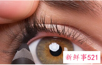 内眼线是画在眼睑上吗