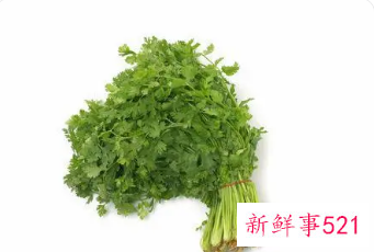 香菜的副作用对男人