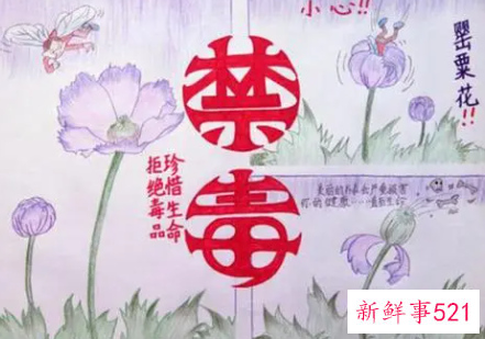 四年级手抄报禁毒