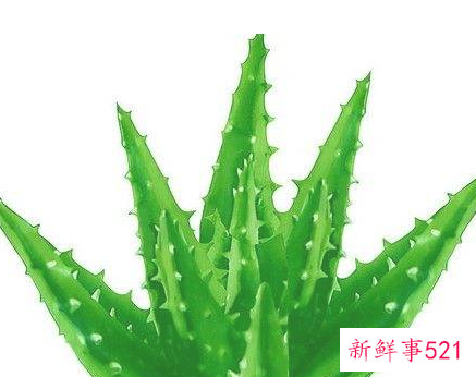 脸痘印怎么去除最有效的方法