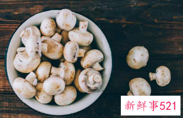 高蛋白质蔬菜和水果