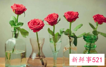 大量鲜花的保鲜方法