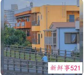 属鼠人好运微信名字