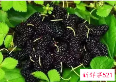 糖尿病人吃什么水果比较好