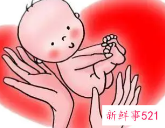 如何照顾新生婴儿