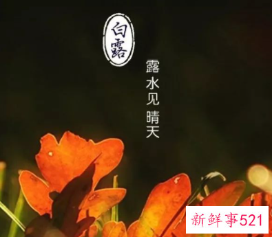 白露和寒露是一个节气吗