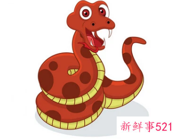 属蛇人在卧室挂什么好