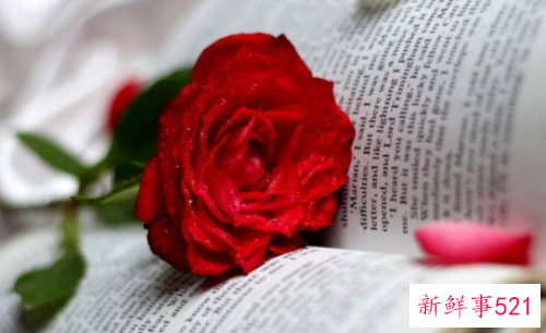 调整心理健康的说说