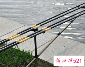 新手用几米的手竿