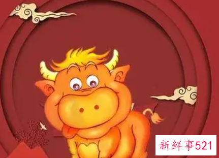 十二生肖男人的命运如何